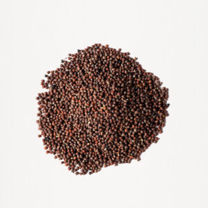 Mustard Seeds