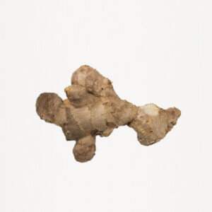 Old Ginger